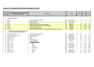 Annexe 10 : structure d'un fichier-rejets (.pdf)