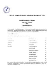 Momoria Anual y Estado Financiero - Sociedad GeolÃ³gica de Chile