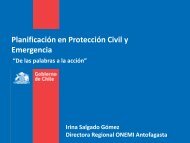 PlanificaciÃ³n en ProtecciÃ³n Civil y Emergencia - Sociedad ...