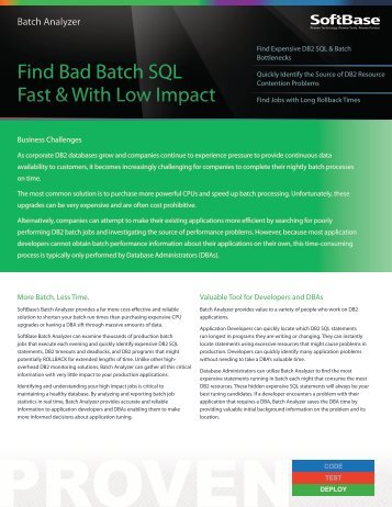 Batch Analyzer Facility - SoftBase Systems, Inc.