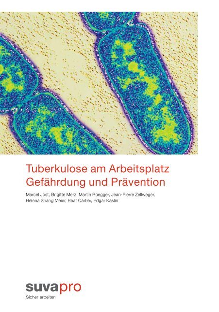 Tuberkulose am Arbeitsplatz, Version 2010