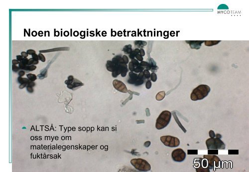 Mal for presentasjoner Mycoteam - Solenergi.dk