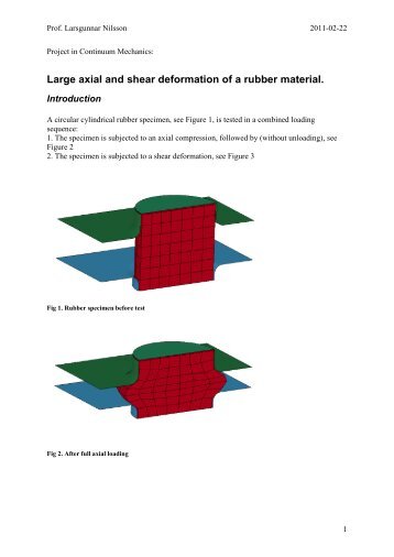 Project in Continuum Mechanics: - Division of Solid Mechanics