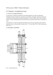 FE Assignment C04 - Division of Solid Mechanics