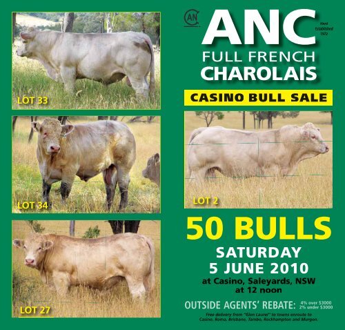Cattle prices casino nsw windsor Cattle prices casino nsw windsor