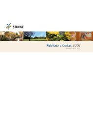RelatÃ³rio e Contas 2006 - Sonae