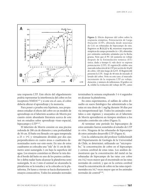 Revista 3-2012 (PDF) - Sonepsyn