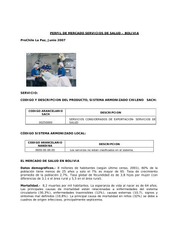 PERFIL DE MERCADO SERVICIOS DE SALUD - Chile como ...