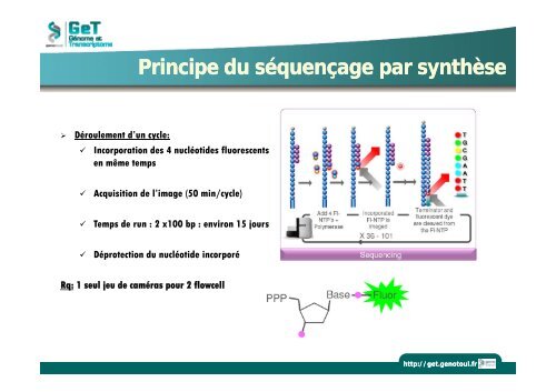 Introduction au RNA-seq - Institut de Mathématiques de Toulouse