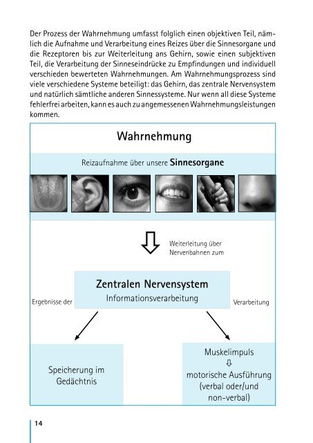 Auditive Verarbeitungs- und Wahrnehmungsstörung im Kindesalter