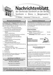 Nachrichtenblatt - Sontheim an der Brenz