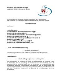 Hauptsatzung mit Änderungen bis 28.03.2013 - Sontheim an der ...