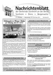 Nachrichtenblatt - Sontheim an der Brenz