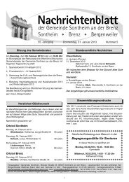 Nachrichtenblatt - Sontheim an der Brenz