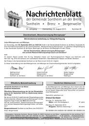 Nachrichtenblatt - Sontheim an der Brenz