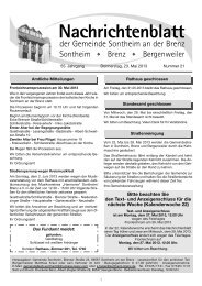 Nachrichtenblatt - Gemeinde Sontheim an der Brenz