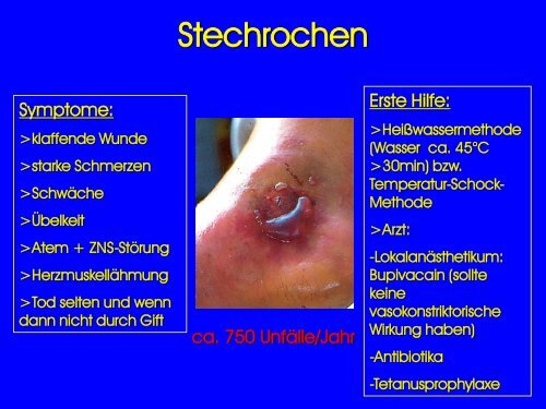 GIFTIGE UND GEFÄHRLICHE MEERESTIERE