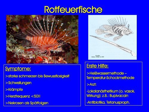 GIFTIGE UND GEFÄHRLICHE MEERESTIERE