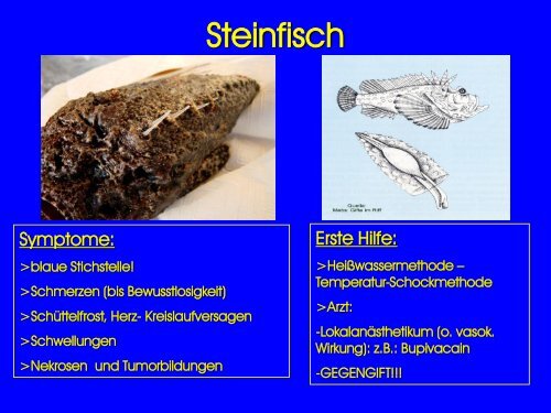 GIFTIGE UND GEFÄHRLICHE MEERESTIERE