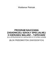 PROGRAM NAUCZANIA - SZKOLA ZAWODOWA - MALARZ ...