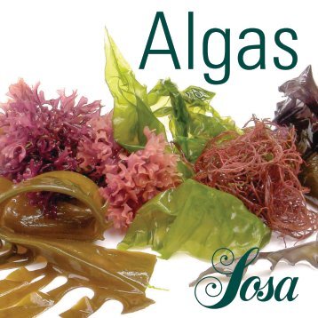 Alga Pistillata - Sosa