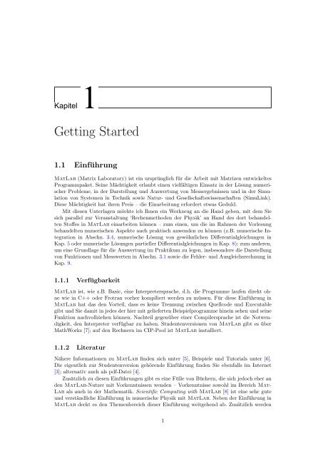 Kapitel 1: Grundlagen (pdf, 1.8 MB) - Numerische Physik ...