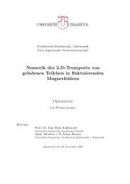 Diplomarbeit - Numerische Physik: Modellierung - UniversitÃ¤t ...