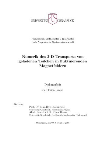 Diplomarbeit - Numerische Physik: Modellierung - UniversitÃ¤t ...