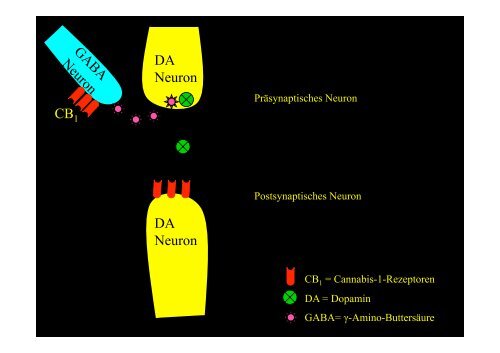 Dr. med. A. Simon Cannabis und Psychose - Soteria Bern