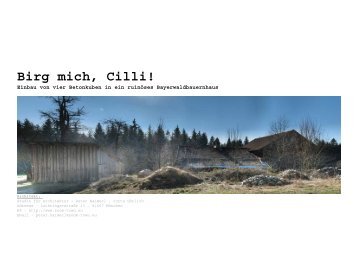 Birg mich, Cilli! - peter haimerl . architektur