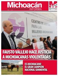 Michoacán Informa #28