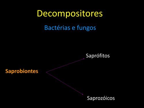 Saprobiontes - Curso e Colégio Acesso