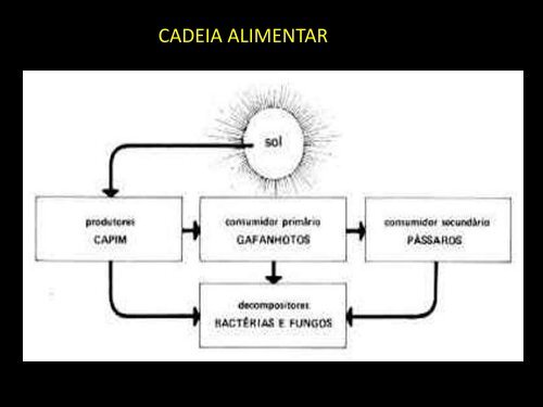 Saprobiontes - Curso e Colégio Acesso