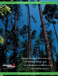 2003 Environmental Progress Report - Southern Company