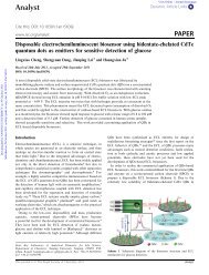 Analyst PAPER