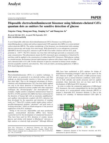 Analyst PAPER