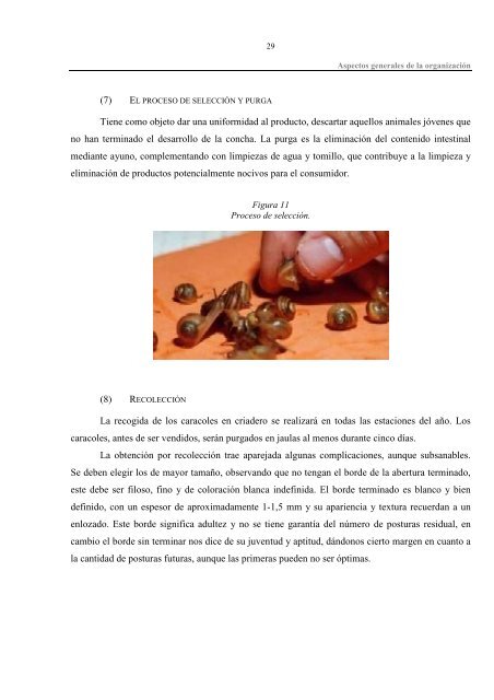 Descargar en PDF - BIBLIOTECA DIGITAL - Universidad del ...