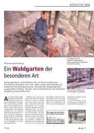 Ein Waldgarten der besonderen Art - DEGA GaLaBau