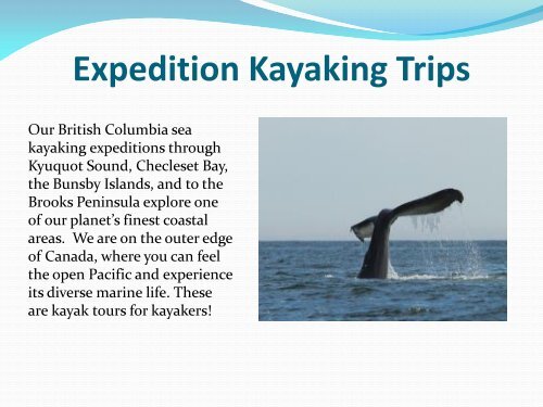 Vancouver Island Kayaking Tours