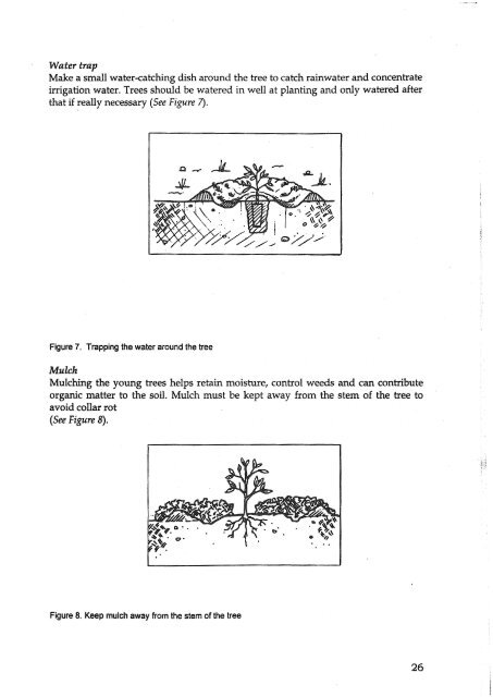 western-queensland-gardening-guide.pdf - South West NRM