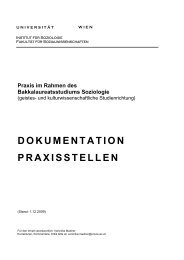 vm Praxisdoku 1.12.09.pdf, Seiten 1-14 - Institut fÃ¼r Soziologie ...