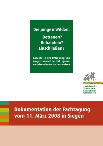 "Die jungen Wilden: Betreuen? Behandeln? Einschließen? Aspekte ...