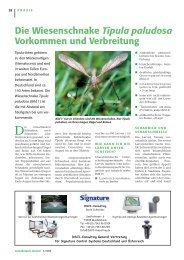 Die Wiesenschnake Tipula paludosa Vorkommen ... - e-nema GmbH