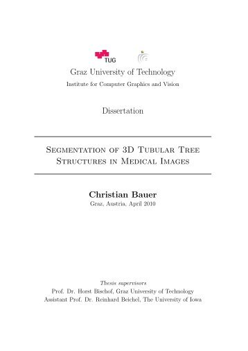 Segmentation of 3D Tubular Tree Structures in Medical Images ...