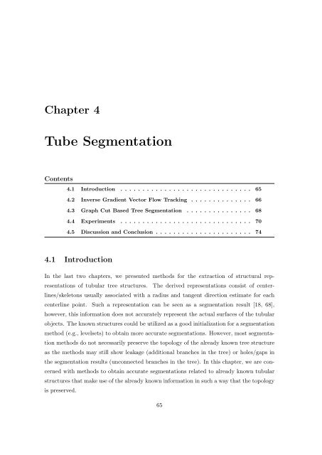 Segmentation of 3D Tubular Tree Structures in Medical Images ...