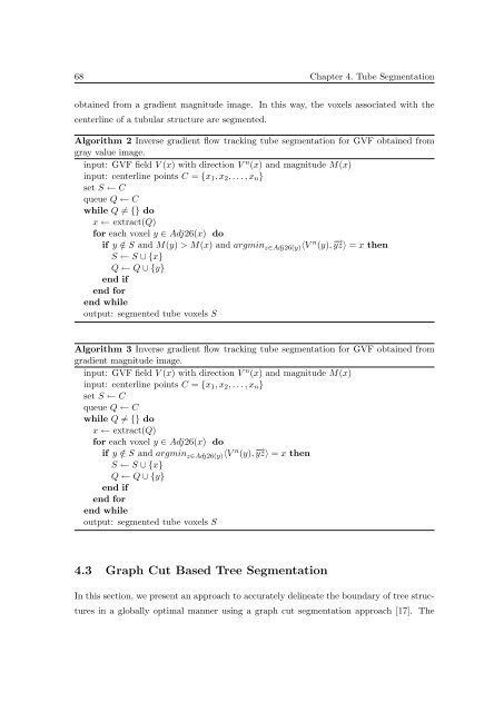 Segmentation of 3D Tubular Tree Structures in Medical Images ...