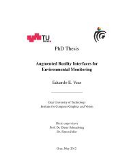 PhD Thesis - Institute for Computer Graphics and Vision - Graz ...