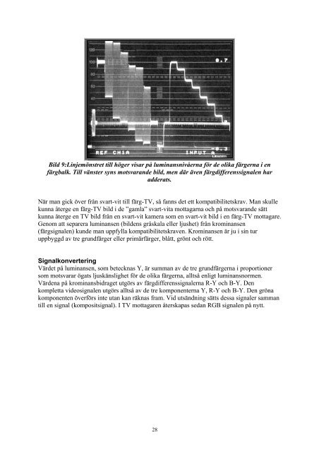 Videons historia och utveckling