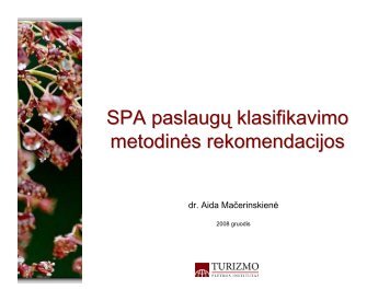 SPA paslaugÅ³ klasifikavimo metodinÃ·s rekomendacijos