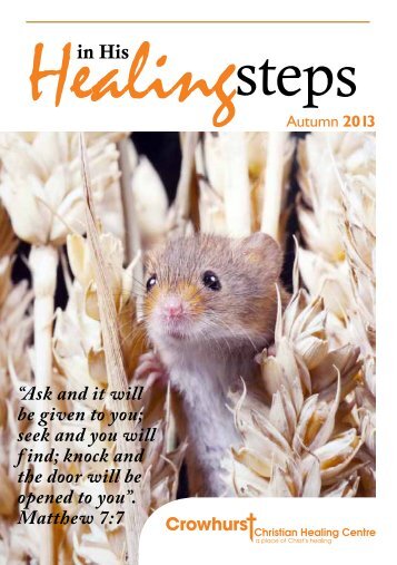 Healing Steps - Autumn 2013